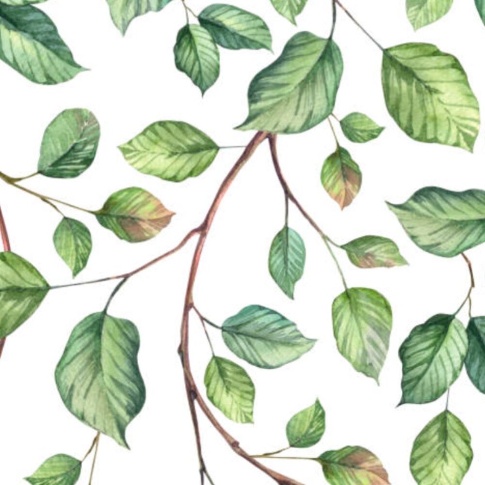 Meet your Posher, Cynthia samantha